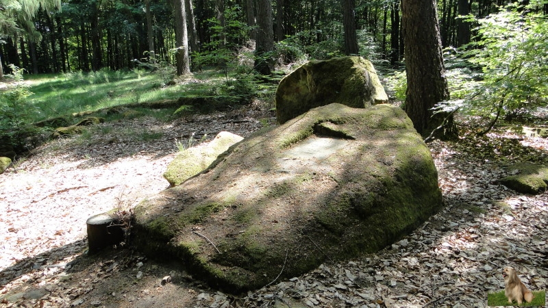 Ritterstein Nr. 145-3 Horterkopf Schanze 1793-94.JPG - Ritterstein Nr.145  Horterkopf Schanze 1793-94                               